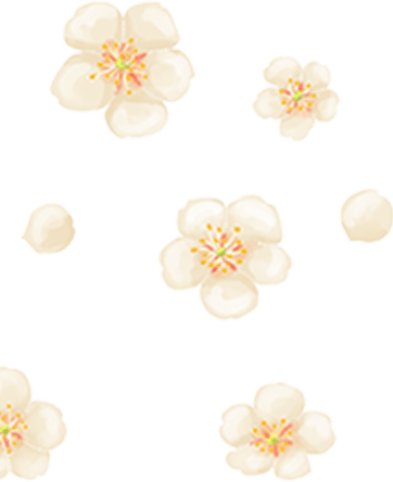 Petals