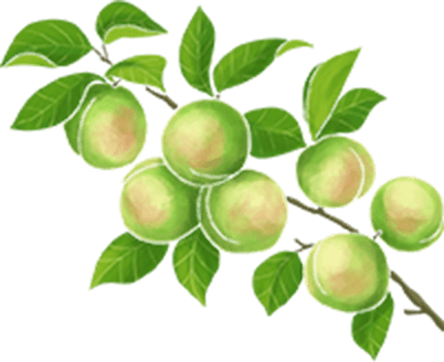 Fruits