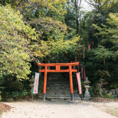 天開稲荷社のおまつり