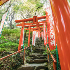 天開稲荷社のおまつり