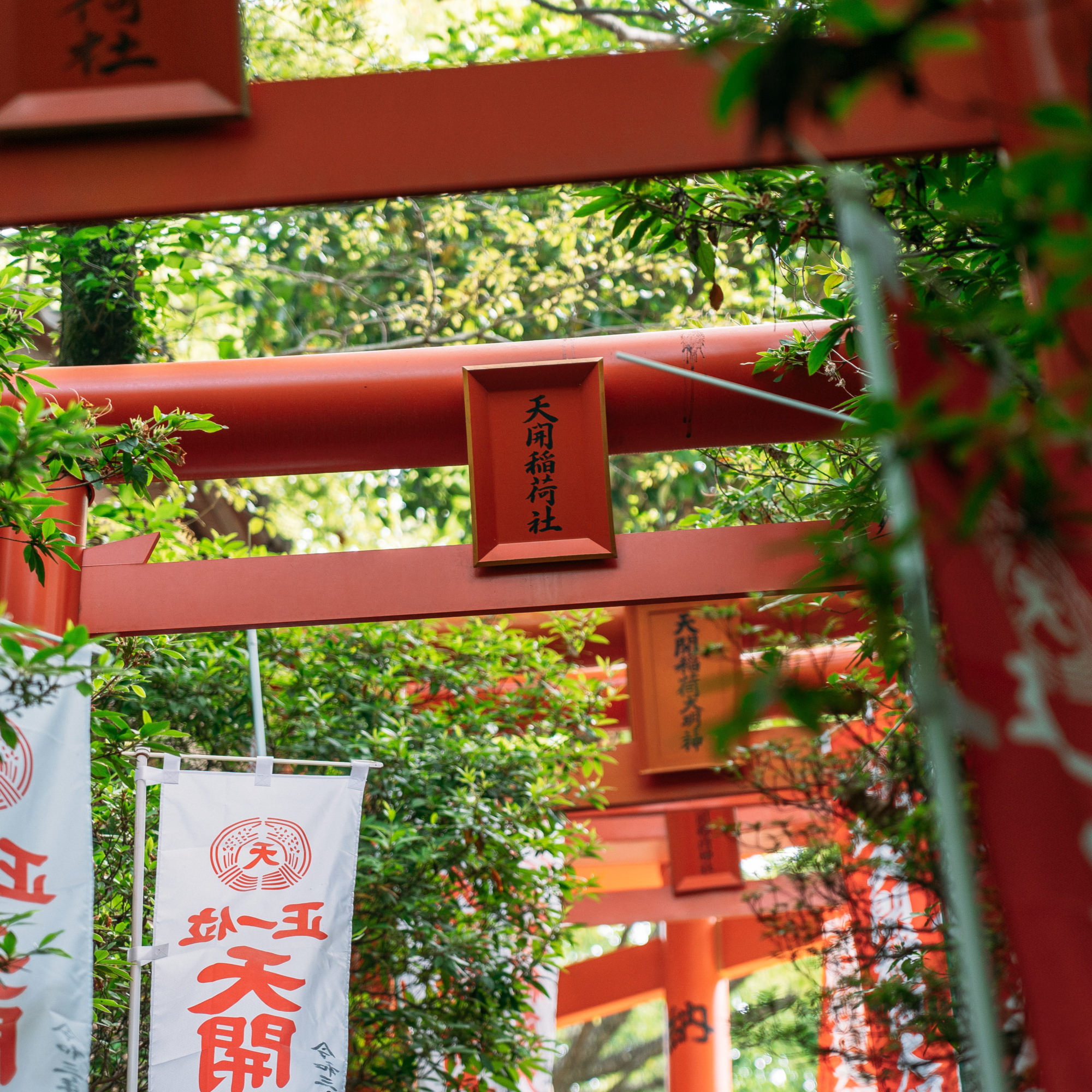 天開稲荷社のおまつり