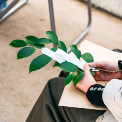 天開稲荷社のおまつり