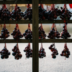 厄除厄晴れ祈願祭・厄晴れひょうたん焼納祭