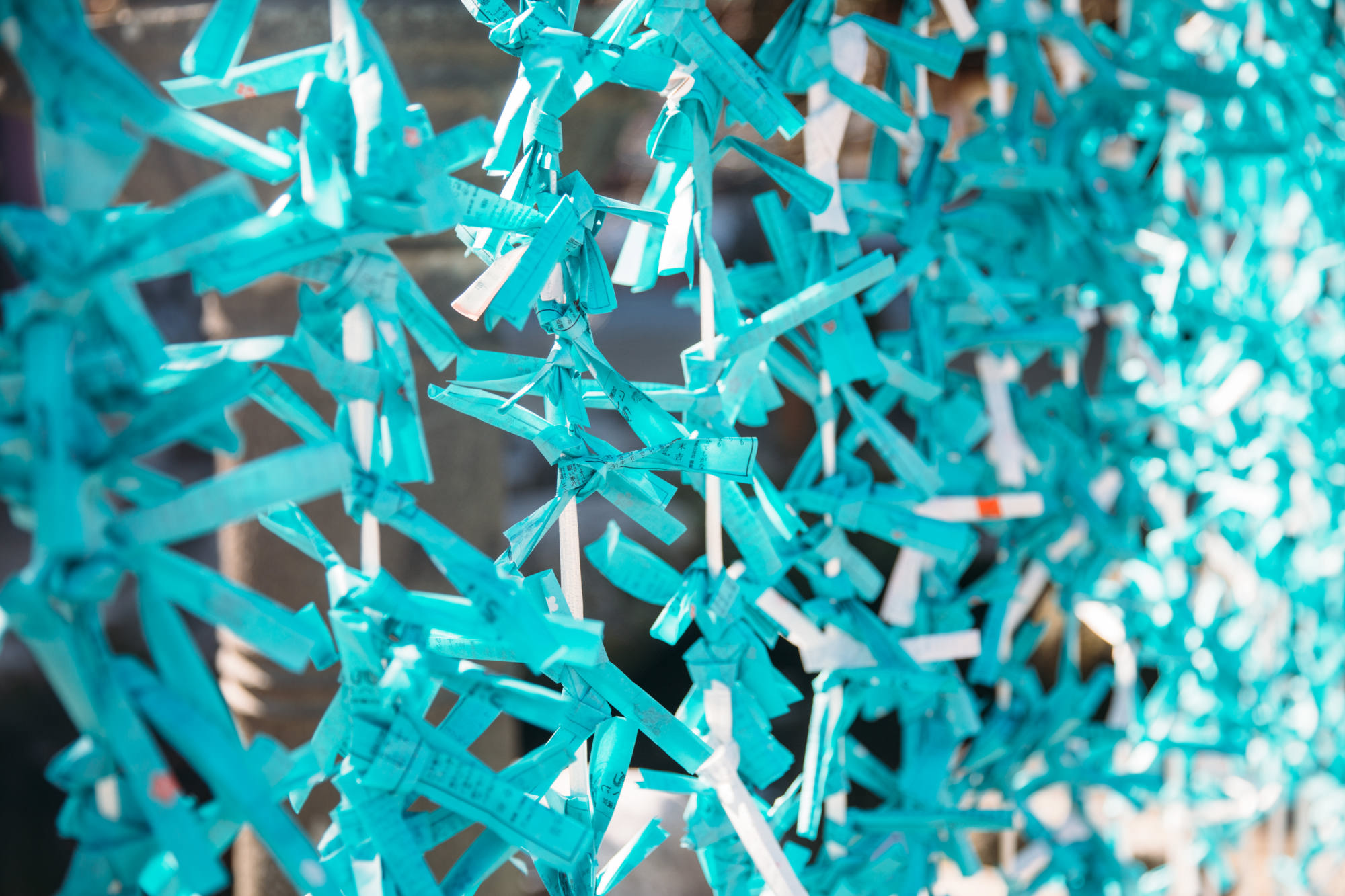 特別受験合格祈願大祭