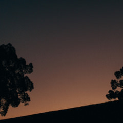 鷽替え・鬼すべ神事