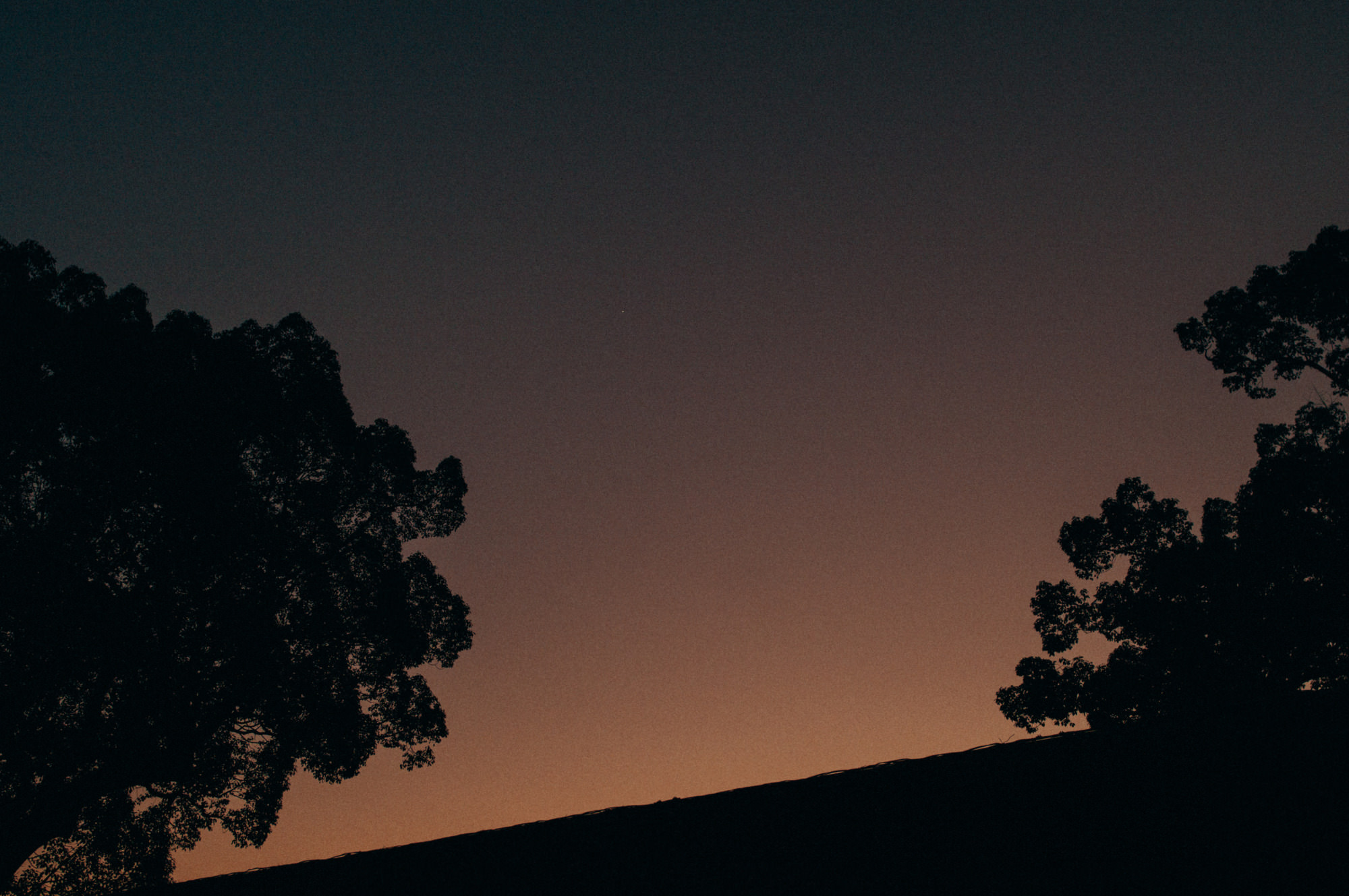 鷽替え・鬼すべ神事