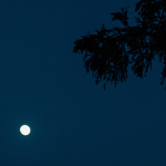 鷽替え・鬼すべ神事