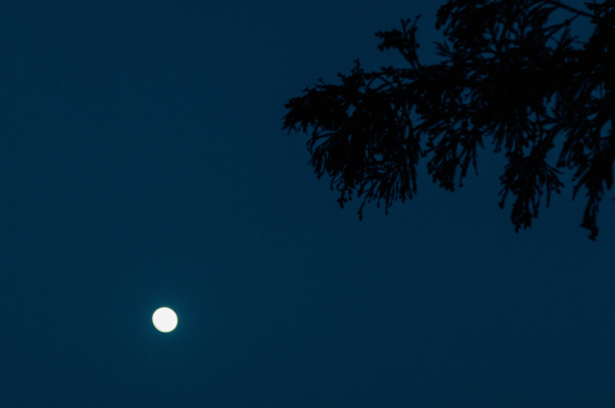 鷽替え・鬼すべ神事