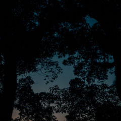 鷽替え・鬼すべ神事