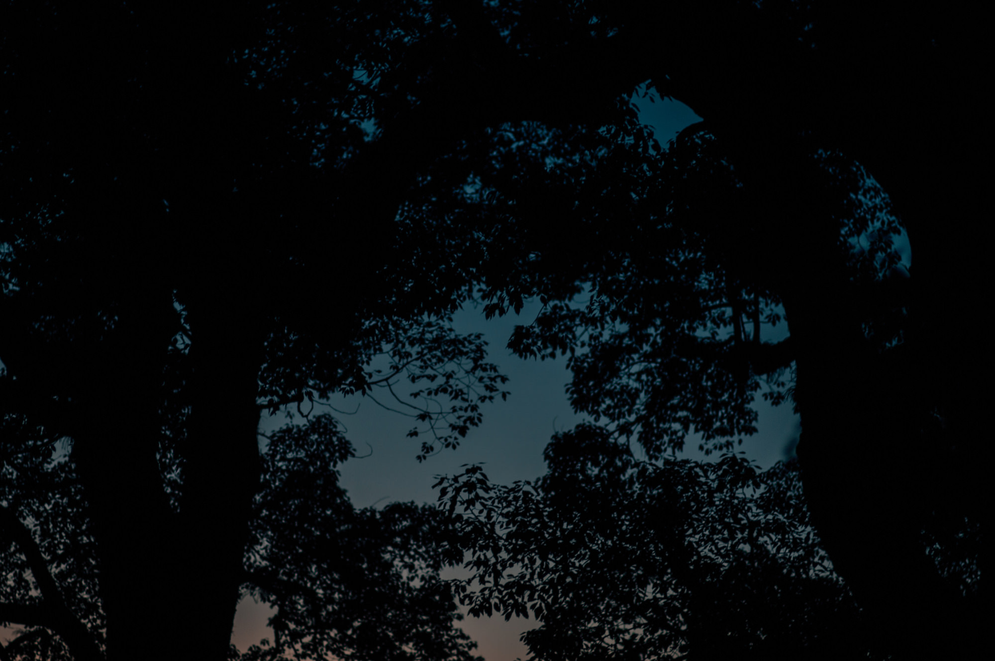 鷽替え・鬼すべ神事