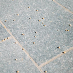 節分厄除祈願大祭