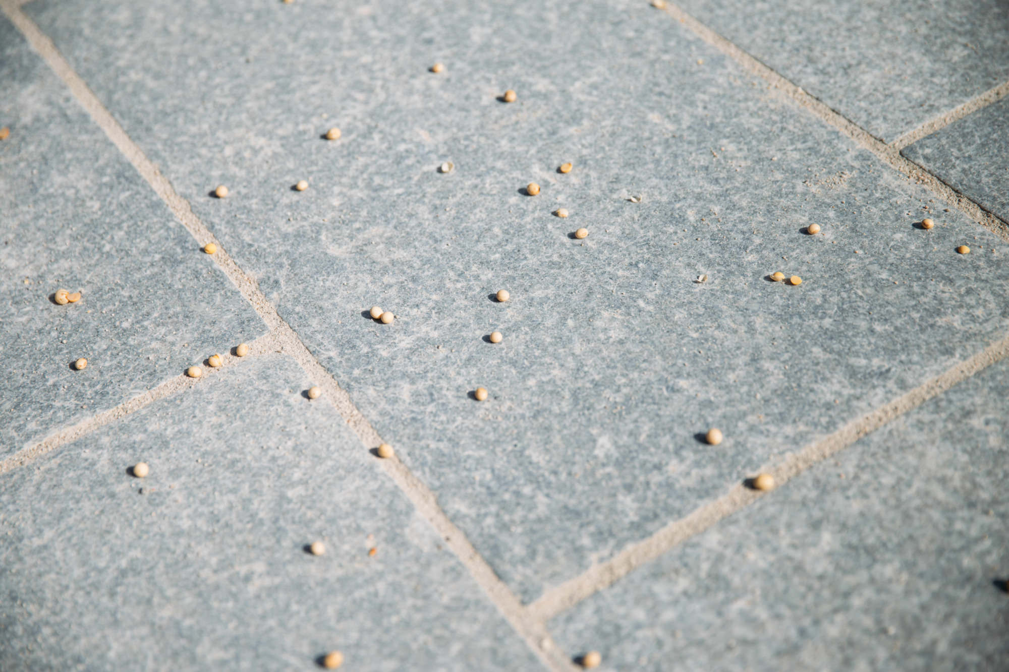 節分厄除祈願大祭