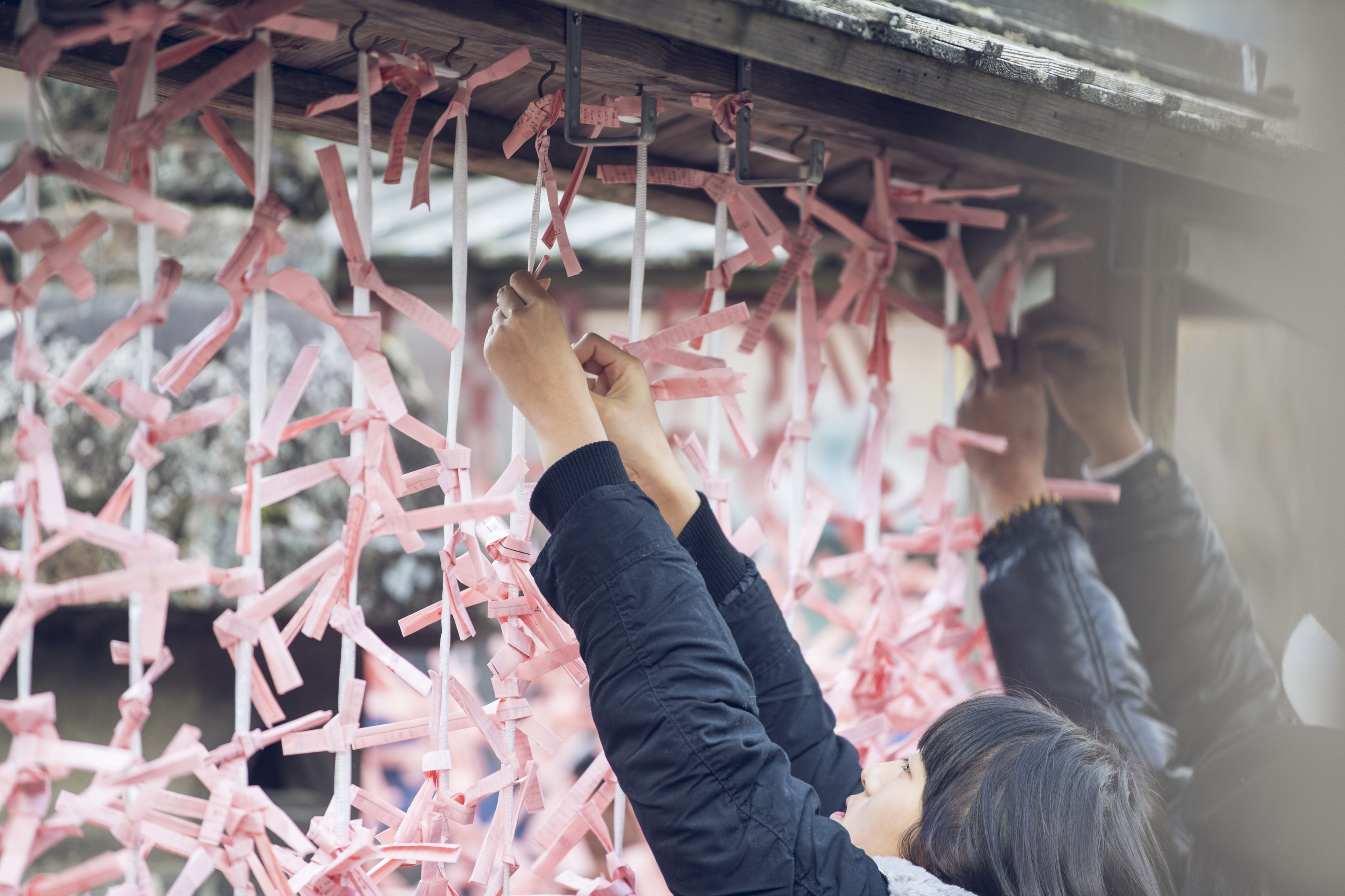 2026年(令和8年) 初詣