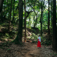 太宰府天満宮アートプログラムvol.12 スーザン・フィリップス「Shine on Me」開催中