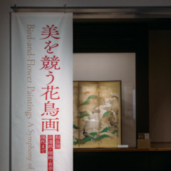 「新発見！狩野探幽の花鳥図屏風」開催のお知らせ